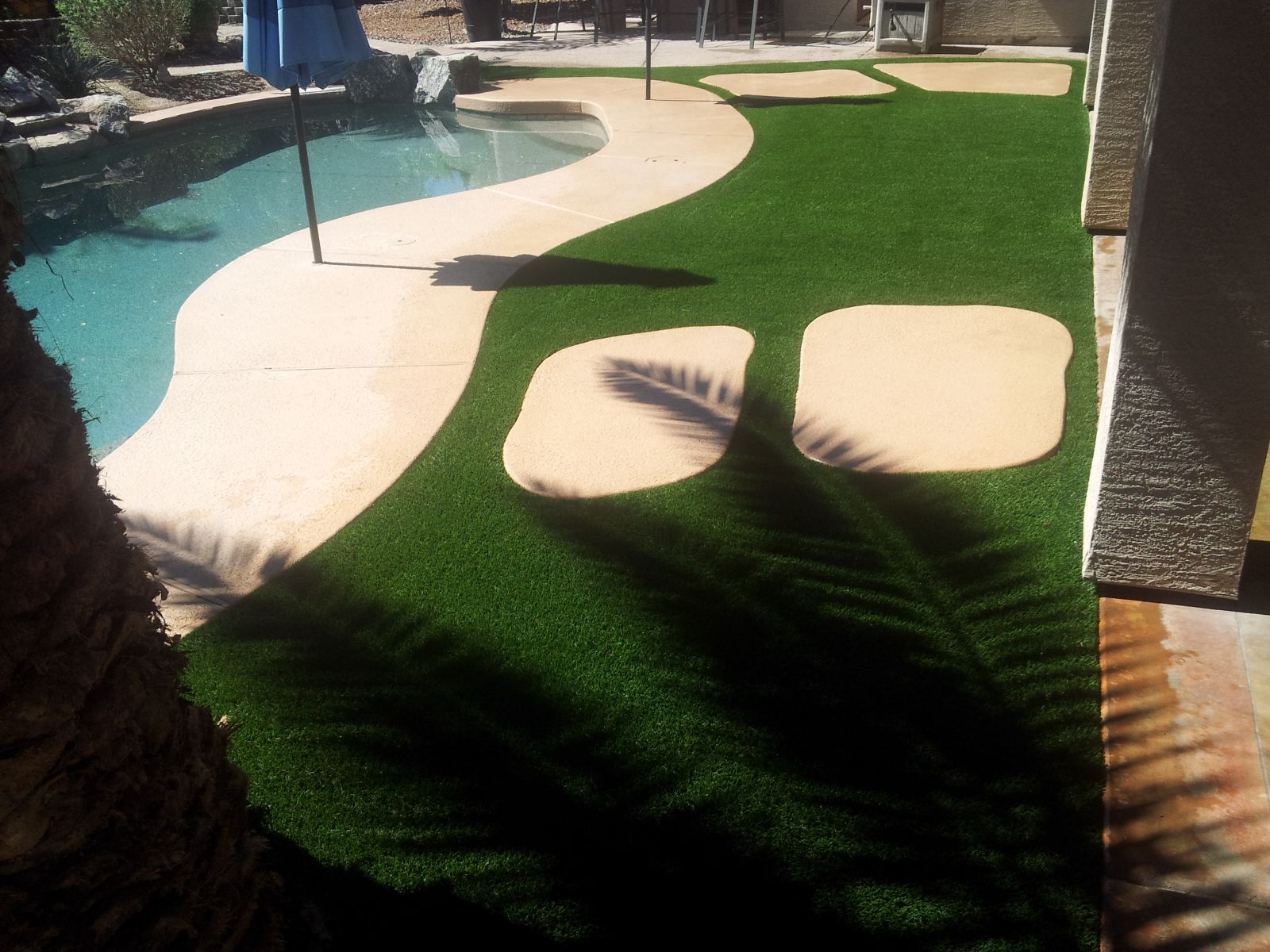 Queen Creek Artificial Grass. Fake Grass & No Drainage Issue